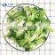 HACCP KOSHER HALAL BRC Quality New season Frozen Vegetables IQF Broccoli Cuts
