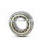 Full Complement Cylindrical Roller Bearing SL04 5028 PP SL045028PP Bearing