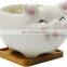 Top Fashion Flower Pot Decor Modern Indoor Terracotta Color Animal Succulent Small Planter Pot