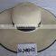 2016 Fashion Paper straw custom hats