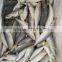 Whole Round Pacific Mackerel Fish Mackerel Prices From China