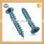 Self Tapping Screw / Screw for plastic