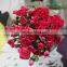 Reasonable price top sell factory flower carnation