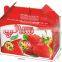 double wall strawbery box,hangling strawbery packaging box