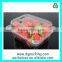 healthy Plastic fruit tray with surface company brand embossing&Blueberry tray
