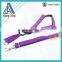 2016 new design nylon pet dog leash