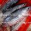 Ningbo 1500L Plastic Frozen Seafood Boxes