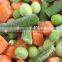 Supply IQF Frozen Mixed Vegetables Peas, Carrots,Sweet Corn,Green Beans