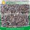 Best Quality Roasted Salted Sunflower Seeds 5009