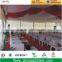 30m span outdoor wedding / party marquee tent for 1000 people