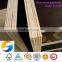 container flooring plywood