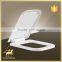 Square PP- Toilet Seat