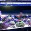 48inch diy color changing led aquarium light for coral reef 120w led light thunder storm simulation