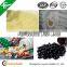 medical gelatin 150-250bloom for making capsule or tablet
