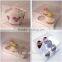 Pvc pp Pet Clear Packaging Plastic Box for Chocolate