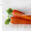 Fruit and Vegetable Packaging Trays for Supermarket