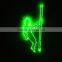 Top quality new coming 1w/2w green green animation laser 2w
