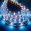 LED strip light can be cut low voltage DC12/24V plastic strip with outdoor/indoor decoration lighting waterproof ip65