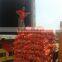 fresh red yellow onion for export