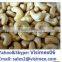 hot selling AFI STAND CASHEW NUT