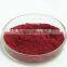 Cranberry Fruit Extract Powder from GMP Certified Factory