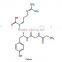GMP Natural High Quality Papain/Papain Enzyme/Papaya Extract