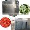 Professional Manufacture Widely Used Industrial Fruit Food Dehydrator Machine
