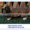 2015 new style famous dog statues in china wholesale