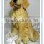 Geno hot selling decorative dog statue G59-3-10094D