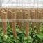 PVC & Bamboo Coco Bar or Stick for plant, flower