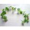 1.54M Grape vines + 5PCS Grape