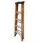 FRP  5-step Ladder
