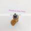 High Quality Fuel Injector 23250-21100 for Toyota Camry 2AZ