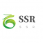 Shengsirui Turbocharger Factory Co Ltd