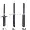 Europe Cars Use Black Plastic Fastener Blind Rivets Head Break Mandrel Blind Nail Rivets