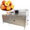 Fruit Pitting Machine Apple Kiwi Plum Peeling Machine Full Automatic High Efficiency Motor Stainless Steel Top Level WSLZQH-190