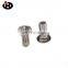Jinghong Customized Flat Head Square Neck Carriage bolt