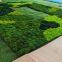 Tallas OEM de Eternal Moss Wall para la decoración de oficinas, hogares y sitios públicos
