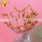 Singapore Best Selling pink and brown polka dot party supplies light painting sparklers sparklers for wedding