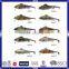 Profession Strip Minnow Fishing Lure for Hot Sale