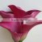 Alibaba china latest calla lily flower wholesale for funeral