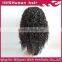 Black kinky curly hair100% brazilian virgin human hair lace front wigs for black women