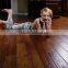 11mm ac5 waterproof german technology best price laminate flooring