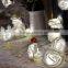 Fullbell manufacturer mini night light