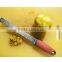 2016 Amazon Kitchen Accessory Lemon Zester Grater