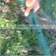 HDPE olive harvest net/olive net,olive collection net for agriculture (32g-92g olive net )