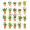 Wholesale Customized Garden Decorating Plastic Plant pots for Nursery