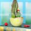 Office Decoration plastic cactus bonsai cactus , decorative cactus