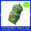 Packing Vegetable And Fruit Mesh Bag/Raschel Bag/Net Bag