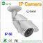 HD cloud 720P 1 Megapixel CMOS outdoor p2p IP Camera network camera